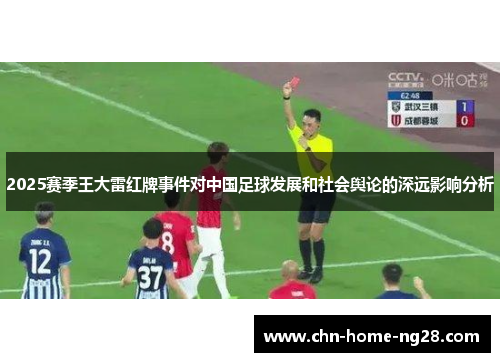 2025赛季王大雷红牌事件对中国足球发展和社会舆论的深远影响分析