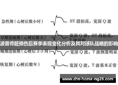 波普肾脏损伤后赛季表现变化分析及其对球队战略的影响