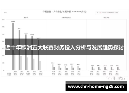 近十年欧洲五大联赛财务投入分析与发展趋势探讨
