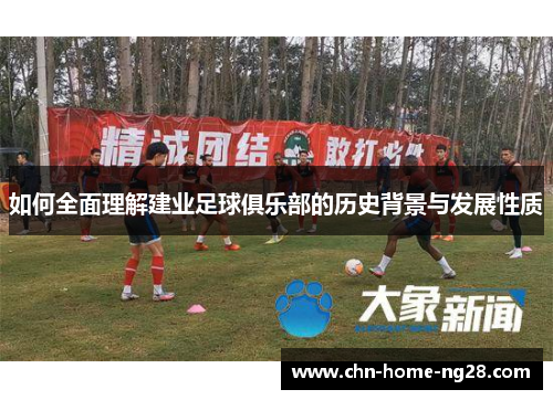如何全面理解建业足球俱乐部的历史背景与发展性质