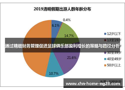 通过精细财务管理促进足球俱乐部盈利增长的策略与路径分析